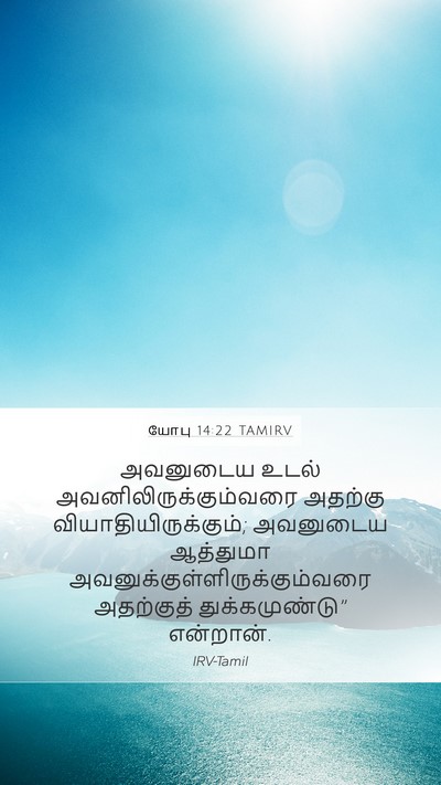 யோபு 14:22 TAMIRV Mobile Phone Wallpaper - அவனுடைய உடல் - Mobile Bible Verse Wallpaper
