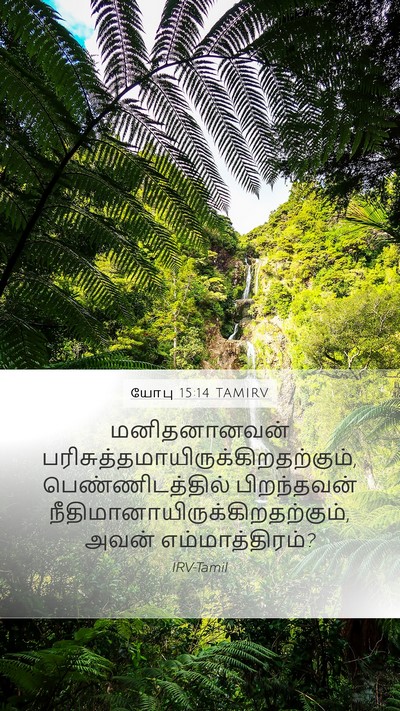 யோபு 15:14 TAMIRV Bible Verse Image