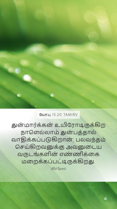 யோபு 15:20 TAMIRV Bible Verse Image