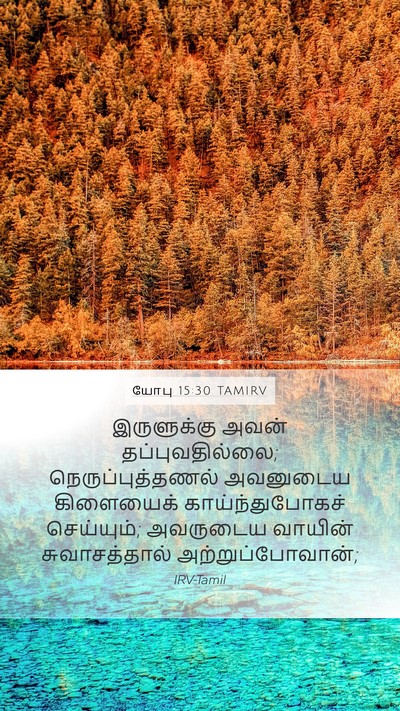 யோபு 15:30 TAMIRV Bible Verse Image