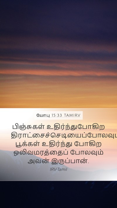 யோபு 15:33 TAMIRV Mobile Phone Wallpaper - பிஞ்சுகள் - Mobile Bible Verse Wallpaper