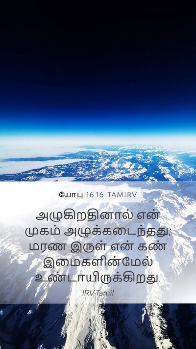 யோபு 16:16 TAMIRV Bible Verse Image
