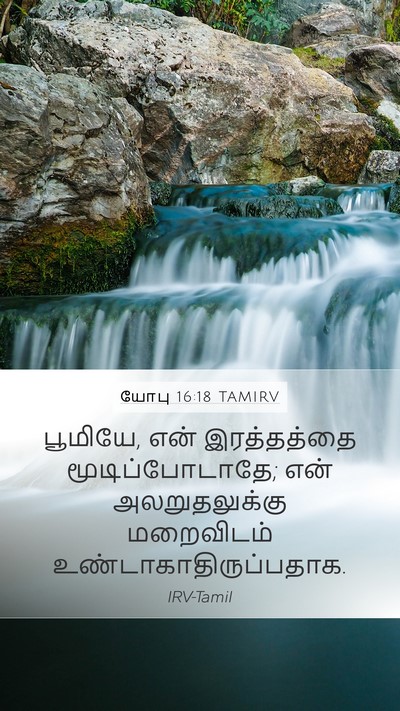 யோபு 16:18 TAMIRV Bible Verse Image