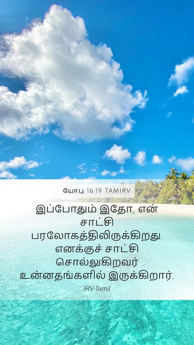 யோபு 16:19 TAMIRV Mobile Phone Wallpaper - இப்போதும் இதோ, என் - Mobile Bible Verse Wallpaper