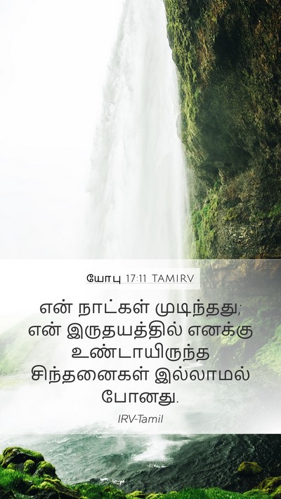யோபு 17:11 TAMIRV Bible Verse Image