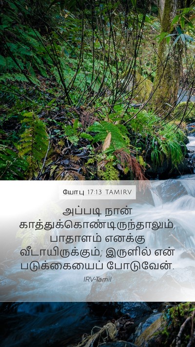 யோபு 17:13 TAMIRV Bible Verse Image