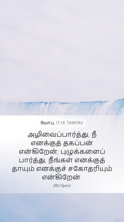 யோபு 17:14 TAMIRV Bible Verse Image