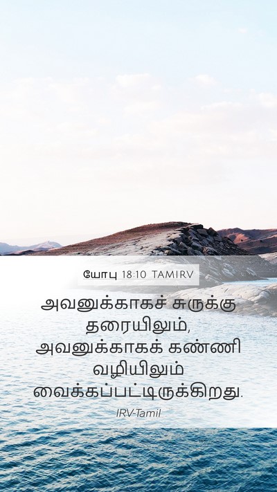 யோபு 18:10 TAMIRV Mobile Phone Wallpaper - அவனுக்காகச் - Mobile Bible Verse Wallpaper