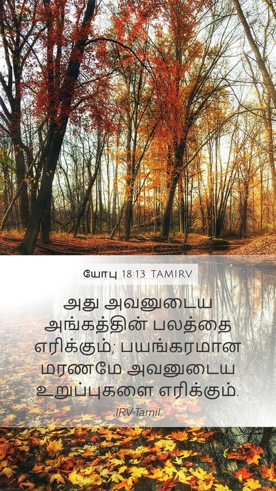யோபு 18:13 TAMIRV Bible Verse Image