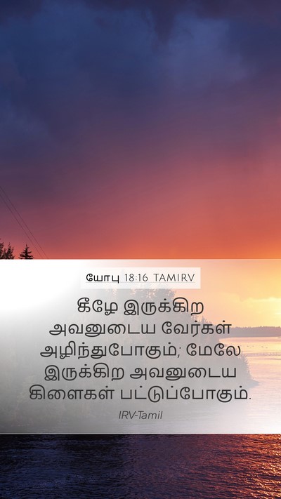 யோபு 18:16 TAMIRV Bible Verse Image
