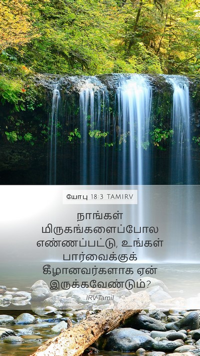 யோபு 18:3 TAMIRV Bible Verse Image