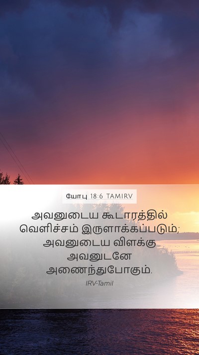 யோபு 18:6 TAMIRV Bible Verse Image