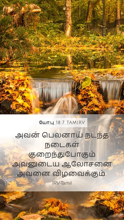 யோபு 18:7 TAMIRV Bible Verse Image