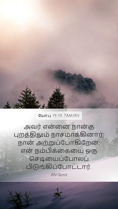 யோபு 19:10 TAMIRV Bible Verse Image