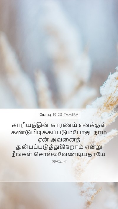 யோபு 19:28 TAMIRV Bible Verse Image