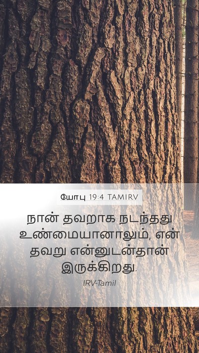 யோபு 19:4 TAMIRV Mobile Phone Wallpaper - நான் தவறாக - Mobile Bible Verse Wallpaper