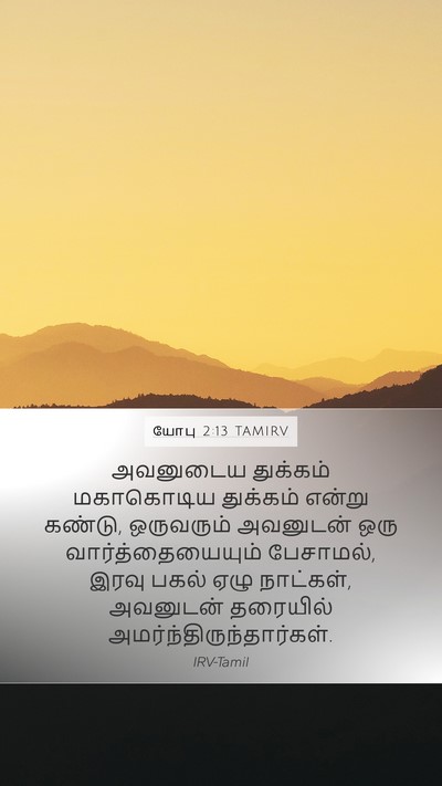 யோபு 2:13 TAMIRV Bible Verse Image