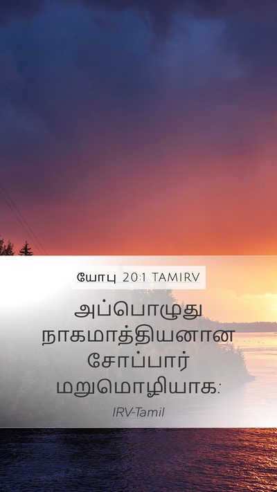 யோபு 20:1 TAMIRV Bible Verse Image