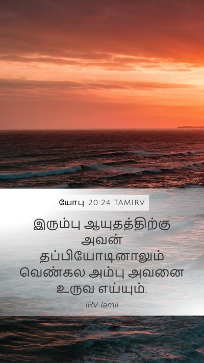 யோபு 20:24 TAMIRV Bible Verse Image