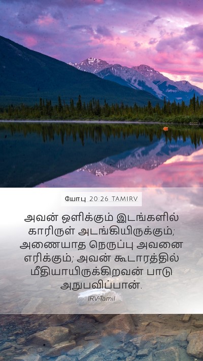 யோபு 20:26 TAMIRV Bible Verse Image