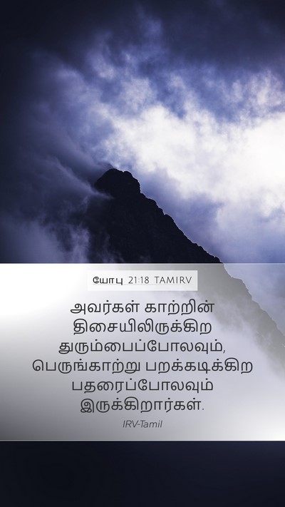 யோபு 21:18 TAMIRV Bible Verse Image