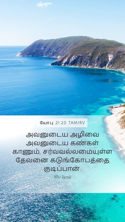 யோபு 21:20 TAMIRV Bible Verse Image