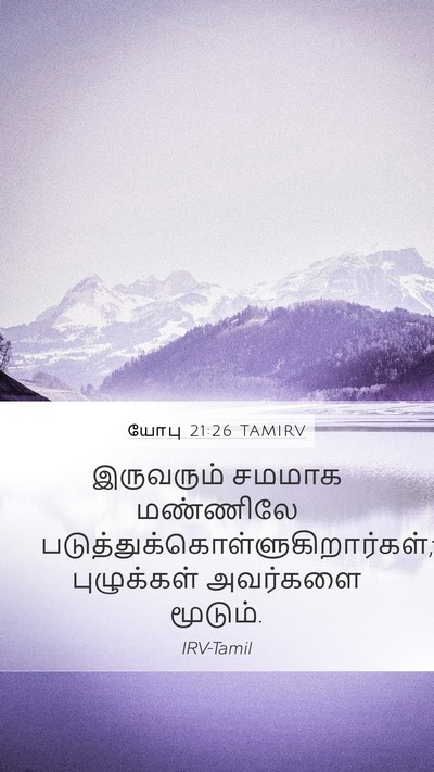 யோபு 21:26 TAMIRV Mobile Phone Wallpaper - இருவரும் சமமாக - Mobile Bible Verse Wallpaper
