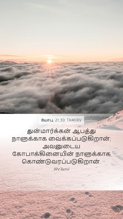 யோபு 21:30 TAMIRV Bible Verse Image