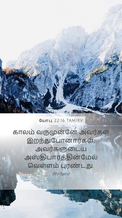 யோபு 22:16 TAMIRV Bible Verse Image