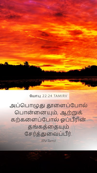 யோபு 22:24 TAMIRV Bible Verse Image