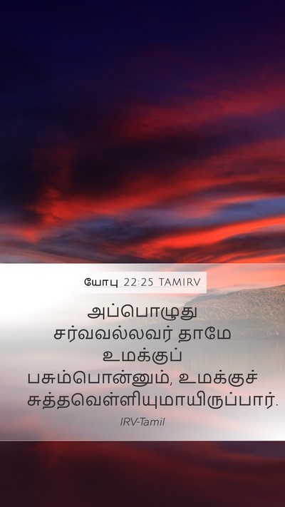 யோபு 22:25 TAMIRV Mobile Phone Wallpaper - அப்பொழுது - Mobile Bible Verse Wallpaper