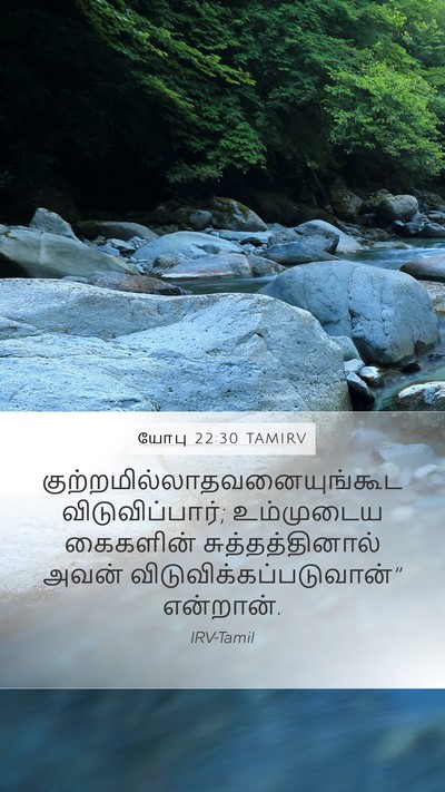 யோபு 22:30 TAMIRV Bible Verse Image