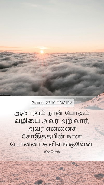 யோபு 23:10 TAMIRV Bible Verse Image