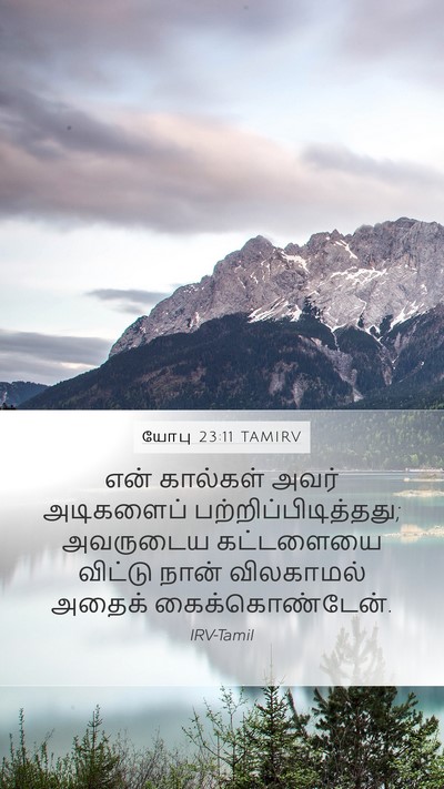 யோபு 23:11 TAMIRV Bible Verse Image