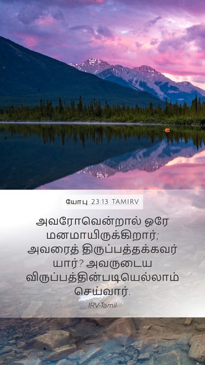 யோபு 23:13 TAMIRV Bible Verse Image