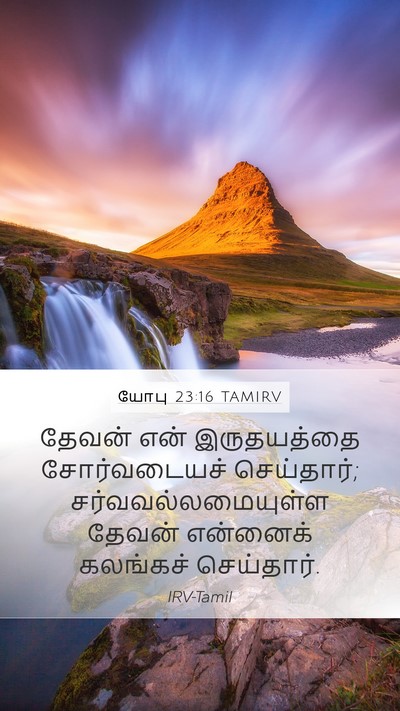 யோபு 23:16 TAMIRV Bible Verse Image