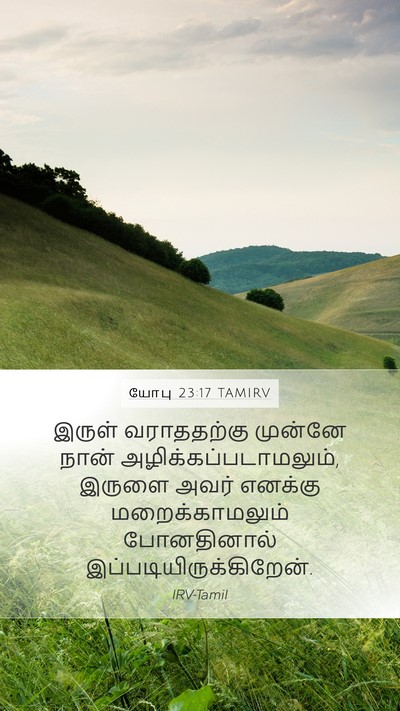 யோபு 23:17 TAMIRV Bible Verse Image