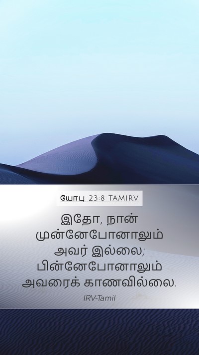 யோபு 23:8 TAMIRV Bible Verse Image