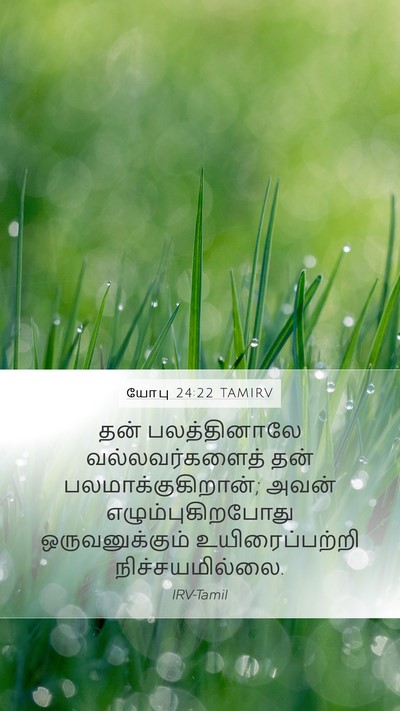 யோபு 24:22 TAMIRV Mobile Phone Wallpaper - தன் பலத்தினாலே - Mobile Bible Verse Wallpaper