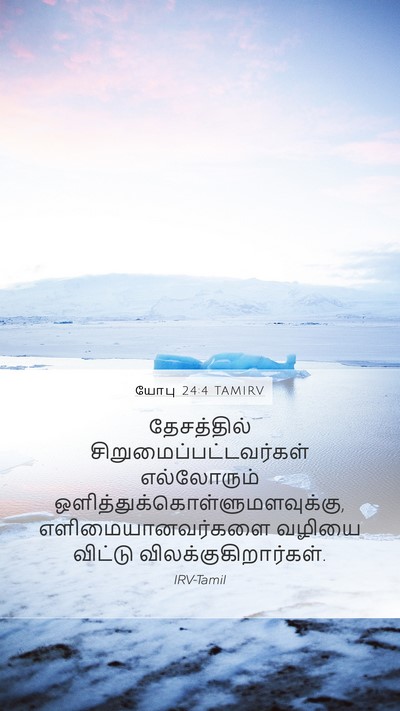 யோபு 24:4 TAMIRV Bible Verse Image