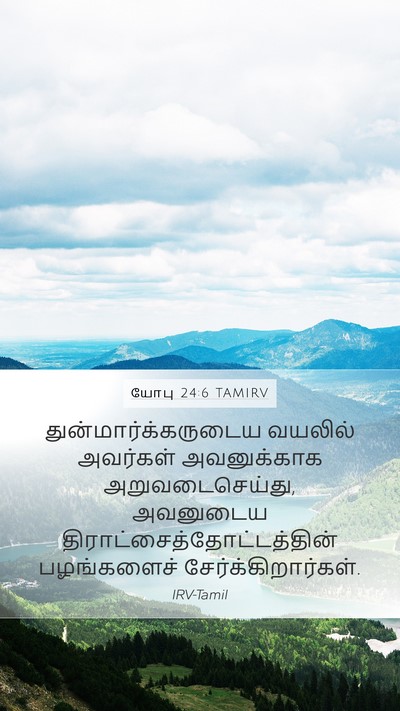 யோபு 24:6 TAMIRV Mobile Phone Wallpaper - துன்மார்க்கருடைய - Mobile Bible Verse Wallpaper