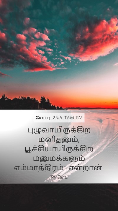 யோபு 25:6 TAMIRV Bible Verse Image