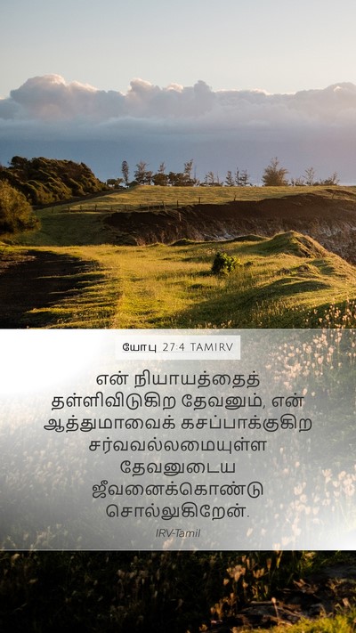 யோபு 27:4 TAMIRV Bible Verse Image