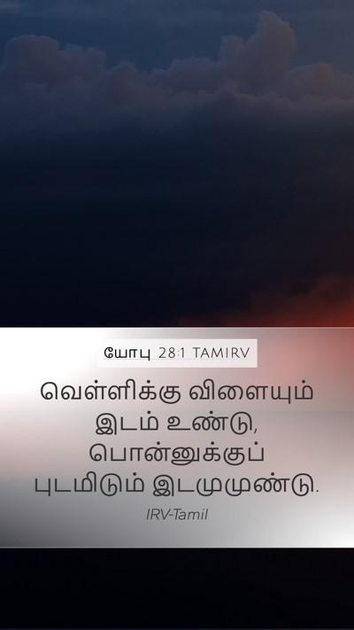 யோபு 28:1 TAMIRV Mobile Phone Wallpaper - வெள்ளிக்கு - Mobile Bible Verse Wallpaper