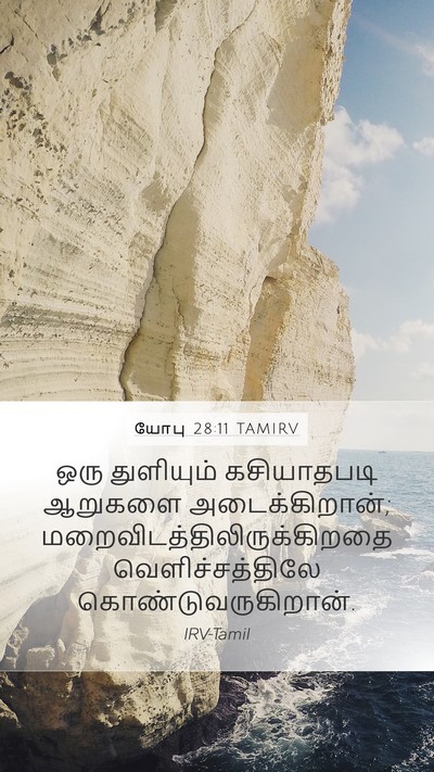 யோபு 28:11 TAMIRV Mobile Phone Wallpaper - ஒரு துளியும் - Mobile Bible Verse Wallpaper