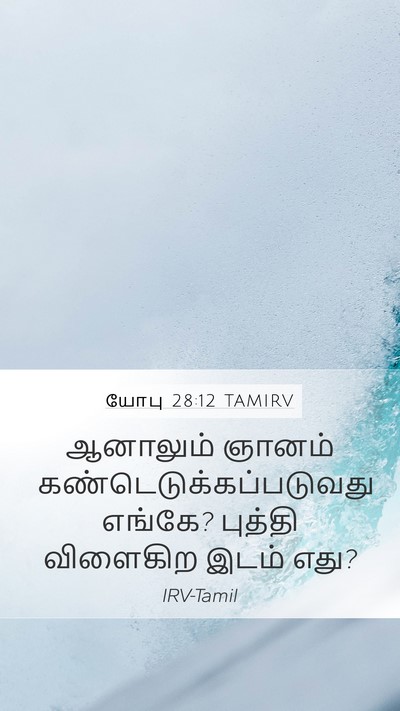 யோபு 28:12 TAMIRV Bible Verse Image