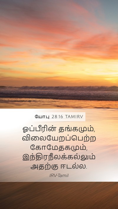 யோபு 28:16 TAMIRV Bible Verse Image