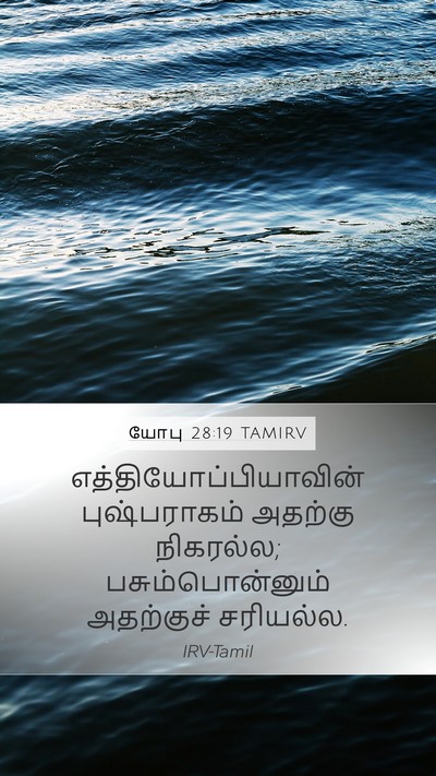 யோபு 28:19 TAMIRV Mobile Phone Wallpaper -  - Mobile Bible Verse Wallpaper