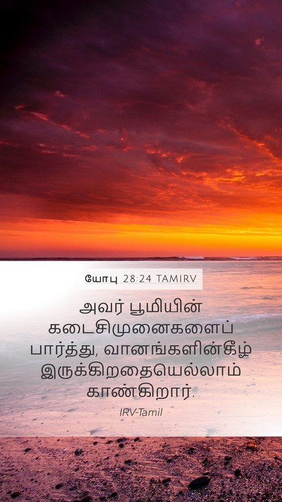 யோபு 28:24 TAMIRV Bible Verse Image