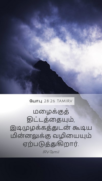 யோபு 28:26 TAMIRV Bible Verse Image